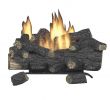 Charmglow Gas Fireplace Fresh Gas Fireplaces Fireplaces the Home Depot