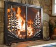 Cheap Fireplace Doors Unique Alpine Fireplace Screen with Doors Brings the Peace and