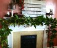 Christmas Garlands for Fireplaces Best Of Mantle Decked W Magnolia Garland for Christmas