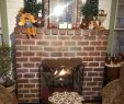 Cincinnati Fireplace Inspirational Great Tree Inn Bed & Breakfast Updated 2019 Prices