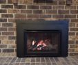 Coal Fireplace Insert Inspirational Valor Fireplace Inserts Charming Fireplace