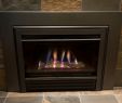 Coal Fireplace Insert Lovely Valor Fireplace Inserts Charming Fireplace