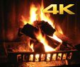 Condor Fireplace New Apps Von Kissapp S L Im App Store