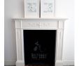 Congo Fireplace Awesome Pair Love Birds Print