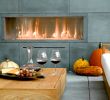 Contemporary Gas Fireplace Insert New Spark Modern Fires