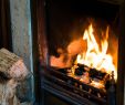 Converting Gas Fireplace to Wood Burning Elegant Types Of Wood You Should Not Burn In Your Fireplace