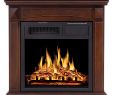 Corner Freestanding Fireplace Fresh Corner Freestanding Fireplace Gas Fireplace Insert