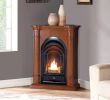 Corner Gas Fireplace Ventless Inspirational Pro Fs100t as Ventless Fireplace System 10k Btu Duel Fuel