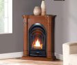 Corner Gas Fireplace Ventless Inspirational Pro Fs100t as Ventless Fireplace System 10k Btu Duel Fuel