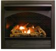 Corner Gas Fireplace Ventless Unique Gas Fireplace Insert Dual Fuel Technology with Remote Control 32 000 Btu Fbnsd32rt Pro Heating