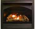 Corner Gas Fireplace Ventless Unique Gas Fireplace Insert Dual Fuel Technology with Remote Control 32 000 Btu Fbnsd32rt Pro Heating