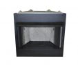 Corner Natural Gas Fireplace Ventless Best Of 42 In Vent Free Natural Gas or Liquid Propane Circulating Firebox Insert