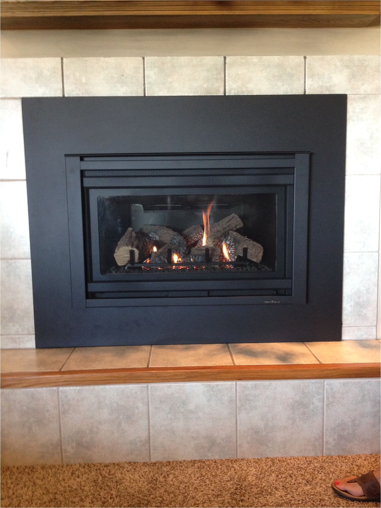 Corner Propane Fireplace Best Of Propane Fireplace Insert Repair