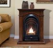 Corner Ventless Fireplace Luxury Fs Glo Insert – Artofit