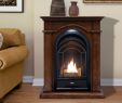 Corner Ventless Fireplace Luxury Fs Glo Insert – Artofit