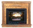 Corner Wood Burning Fireplace Awesome Buck Stove Model 34zc Vent Free Gas Fireplace