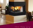 Corner Wood Burning Fireplace Fresh 4 Multi View Wood