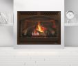 Cosmo Fireplace Best Of Heat and Glo Fireplace Cleaning Heatnglo True42 Gas