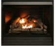 Country Comfort Fireplace Insert Fresh Fireplace Results Home & Outdoor