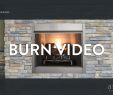 Cover Brick Fireplace with Wood Panels Elegant Starlite Gas Fireplaces