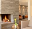 Curved Fireplace Screen Fresh 17 Best Ideas About See Through Fireplace Pinterest