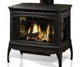 Custom Gas Fireplace Awesome Hearthstone Waitsfield Dx 8770 Gas Stove