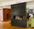 Dallas Fireplace Repair Inspirational 2 Way Fireplace Charming Fireplace