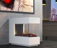 Davinci Fireplace Elegant Raumteiler Günstig Kaufen Bei Dich Schlau