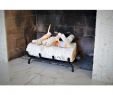 Decorative Electric Fireplaces Lovely Terra Flame 10 5 In Birch Fireplace Log Set