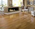 Different Types Of Fireplaces Best Of 26 Re Mended Hardwood Floor Fireplace Transition