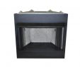 Direct Vent Fireplace Outside Cover Awesome 42 In Vent Free Natural Gas or Liquid Propane Circulating Firebox Insert