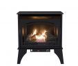 Direct Vent Gas Fireplace Home Depot Elegant 23 5 In Pact 20 000 Btu Vent Free Dual Fuel Gas Stove