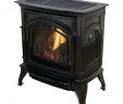 Direct Vent Gas Fireplace Home Depot Lovely 31 000 Btu Vent Free Black Enameled Porcelain Cast Iron Lp Gas Stove