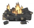 Direct Vent Gas Fireplace Home Depot Luxury Gas Fireplaces Fireplaces the Home Depot