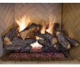 Direct Vent Gas Fireplace Venting Inspirational 24 In Split Oak Vented Gas Log Set Dual Burner Realistic