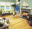 Diy Water Vapor Fireplace Best Of How to Install Pine Floors