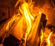Diy Water Vapor Fireplace Luxury why Does Burning Wood Pop & Crackle