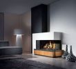 Double Sided Electric Fireplace Insert Luxury Contemporary Interior Design