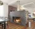 Double Sided Wood Burning Fireplace Unique Pin Od Autumn Parkfield Na Cool Stoves Hoods & Fireplaces