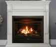 Duluth forge Ventless Gas Fireplace Lovely Fireplace Results Home & Outdoor