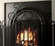 Duraflame Fireplace Inspirational Funny Spark Guard Fireplace Screens – Adaziaireub