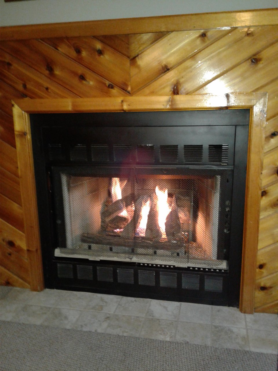 SPRINGBROOK INN Prices & Reviews Prudenville MI gas fireplace