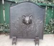 Ebay Fireplace Screen Fresh Rare Fox Mask Fireplace Fireback with Stands Ebay