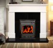 Efficient Fireplace Insert Inspirational Hothouse Stoves & Flue