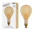 Electric Fireplace Bulb Beautiful Feit Electric 60w soft White Ps52 Dimmable Incandescent
