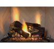 Electric Fireplace Logs with Remote Control Fresh Electric Fireplace Logs Fireplace Logs the Home Depot