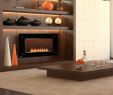 Electric Fireplace Video Best Of Fireplace Inserts Napoleon Electric Fireplace Inserts