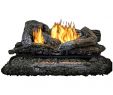 Electric Log Set for Fireplace Inspirational Kozy World Gld3070r Vented Gas Log Set 30" Want to Know