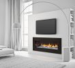 Electric Start Gas Fireplace Fresh Primo 48 Fireplace