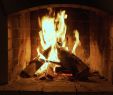 Embers Fireplace Beautiful Burning Fire In the Fireplace Wood and Embers In the